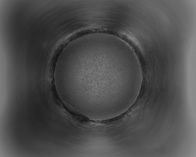 X0000093120920200710031331