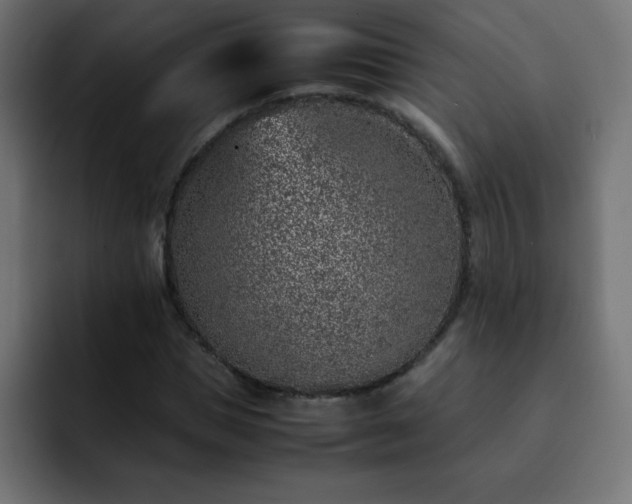X0000093120921200710031331