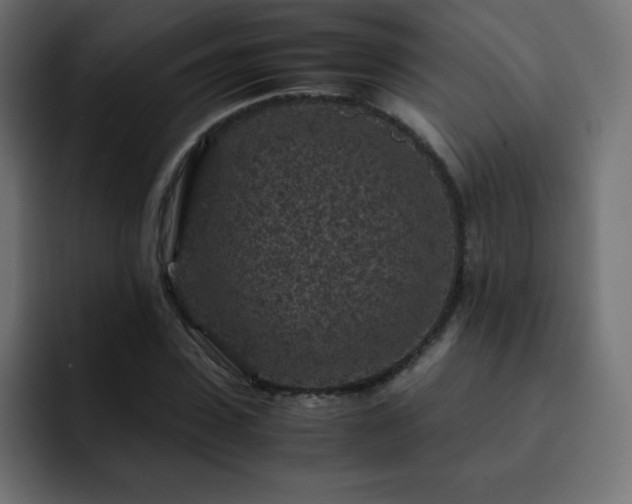 X0000093120923200710031331