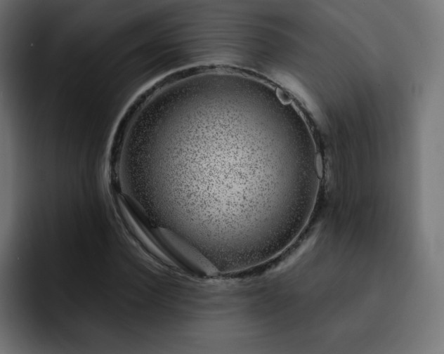 X0000093120924200710031331