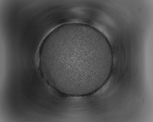 X0000093120925200710031331