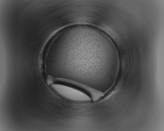 X0000093120926200710031331