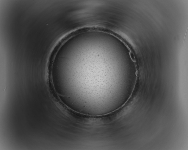 X0000093120927200710031331