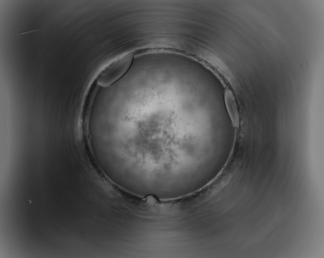 X0000093120928200710031331