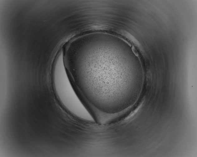 X0000093120930200710031331
