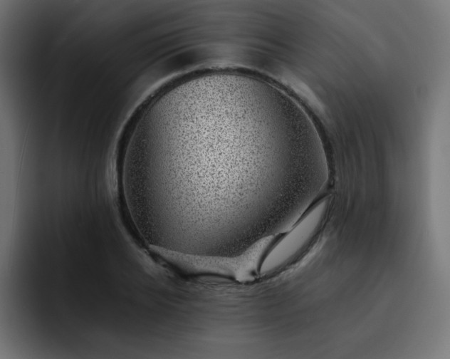 X0000093120934200710031331