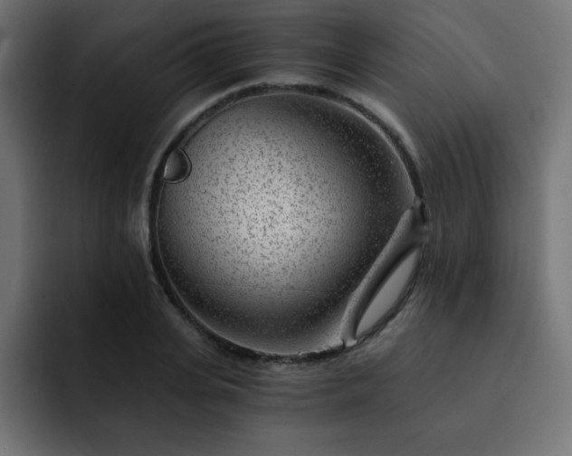 X0000093120935200710031331