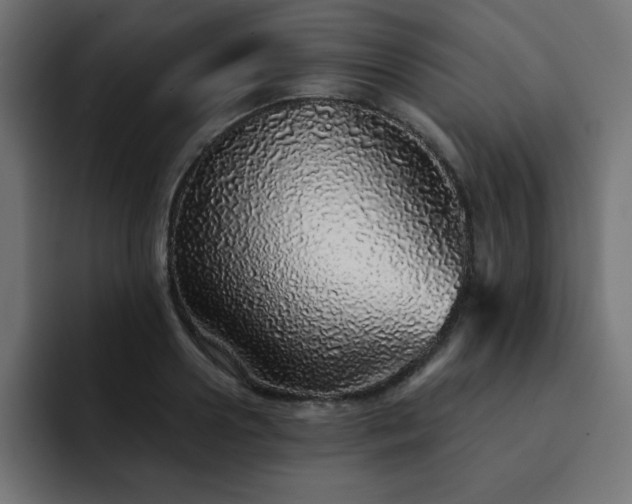 X0000093120938200710031331