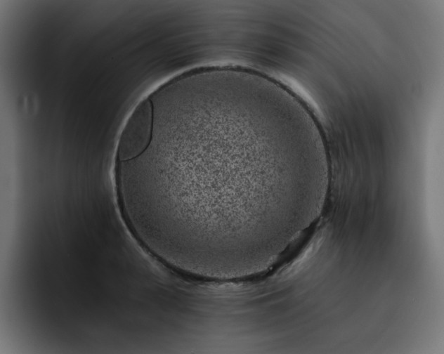 X0000093120943200710031331