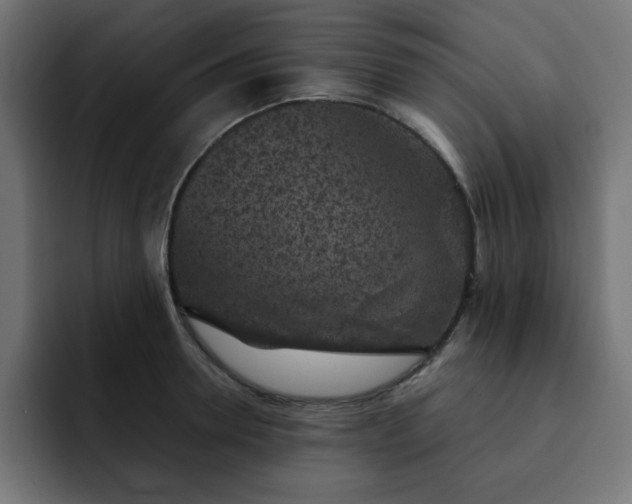 X0000093120946200710031331