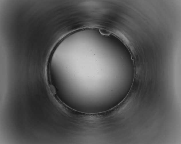 X0000093120947200710031331