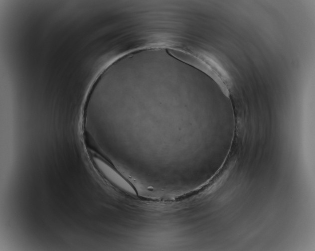 X0000093120948200710031331