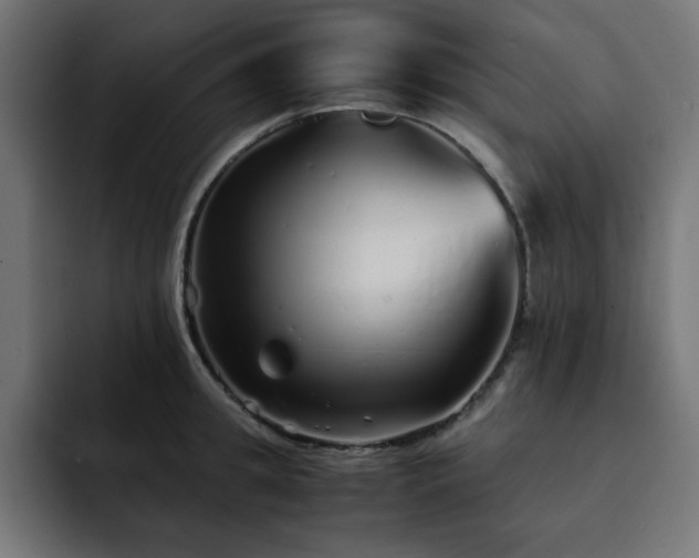 X0000093120949200710031331