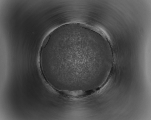X0000093120952200710031331