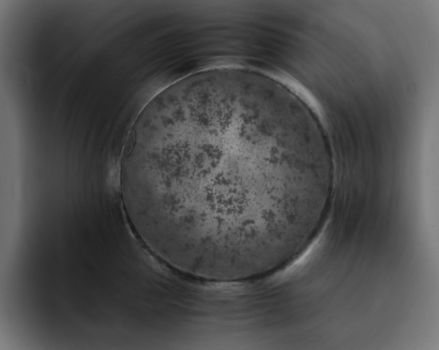 X0000093120953200710031331