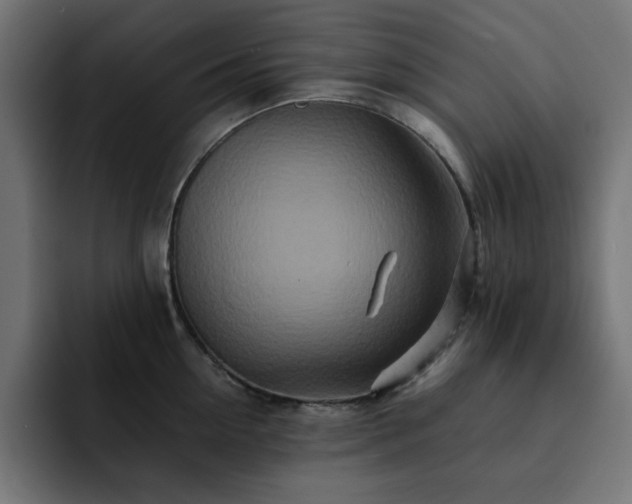 X0000093120954200710031331