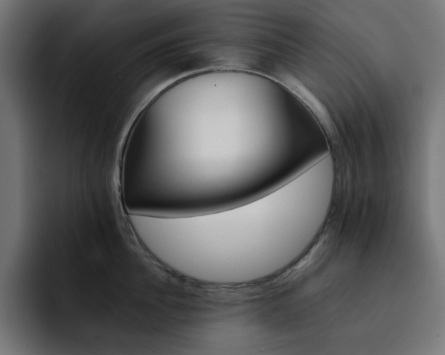 X0000093120956200710031331