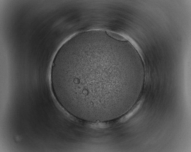 X0000093120957200710031331