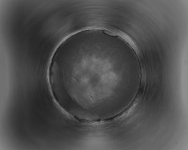 X0000093120958200710031331