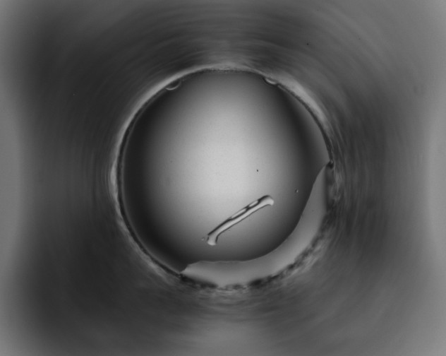 X0000093120959200710031331