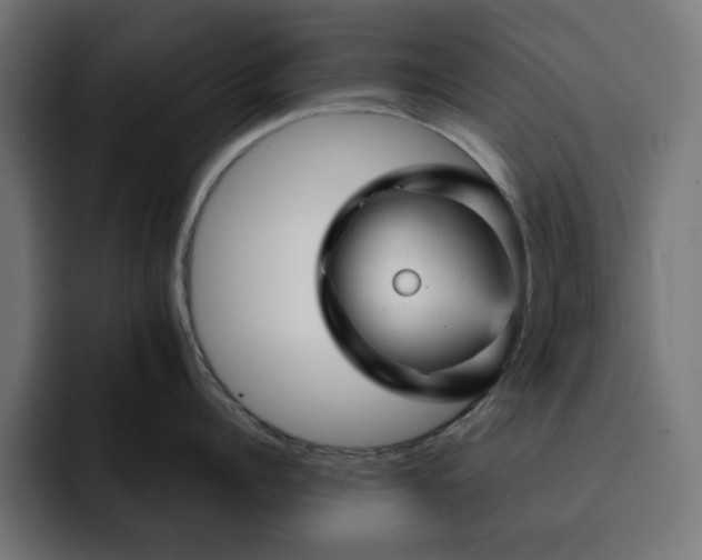 X0000093120960200710031331