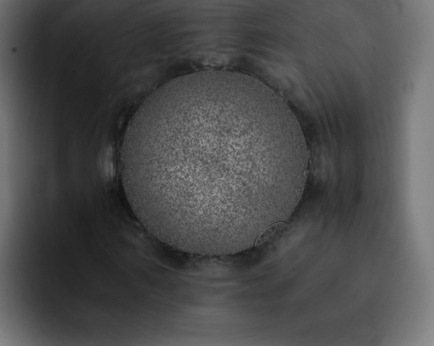 X0000093120962200710031331