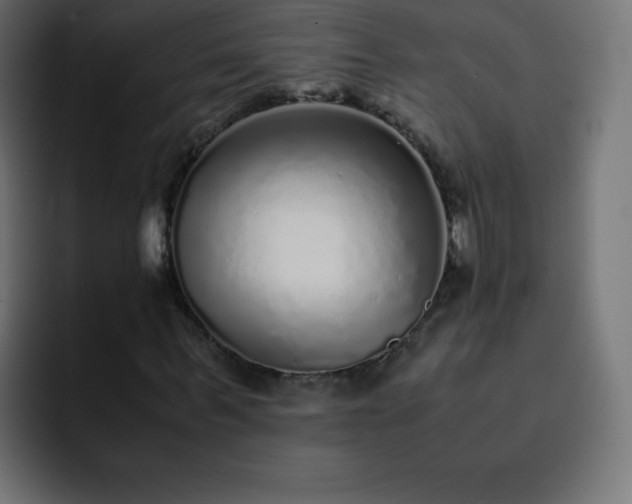 X0000093120963200710031331