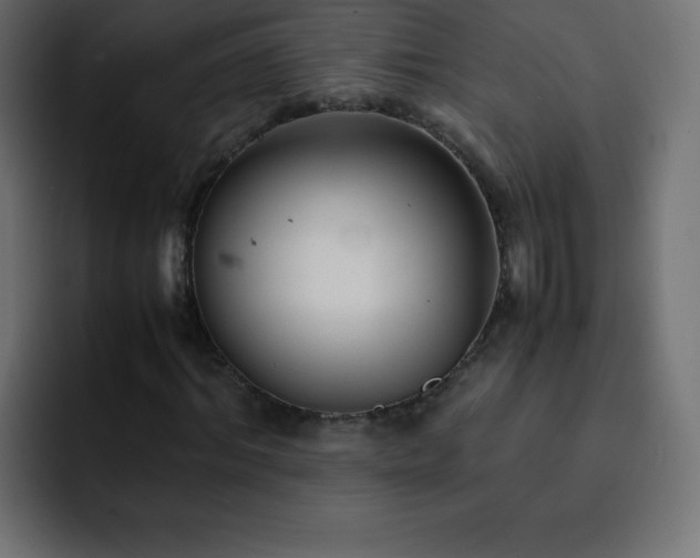 X0000093120964200710031331