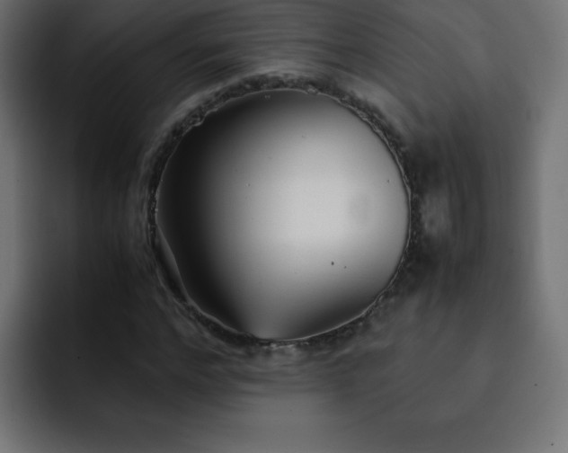 X0000093120968200710031331