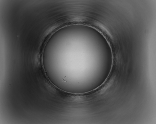 X0000093120970200710031331