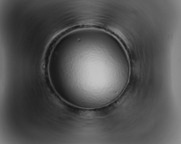X0000093120971200710031331