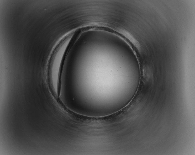 X0000093120972200710031331