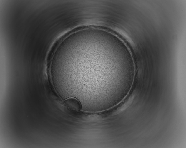 X0000093120974200710031331