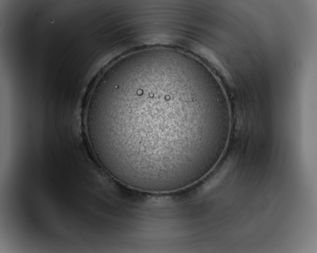 X0000093120978200710031331