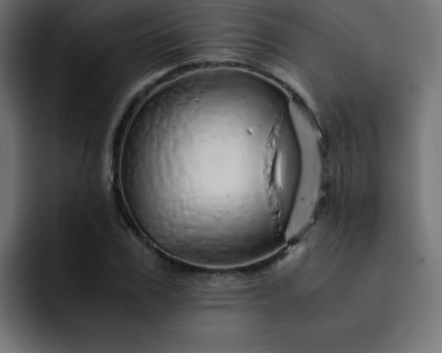 X0000093120979200710031331