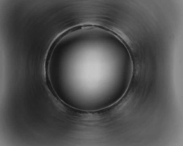 X0000093120980200710031331