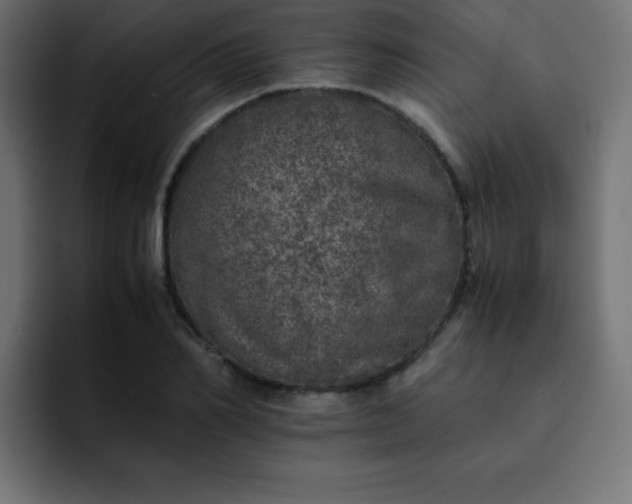 X0000093120982200710031331