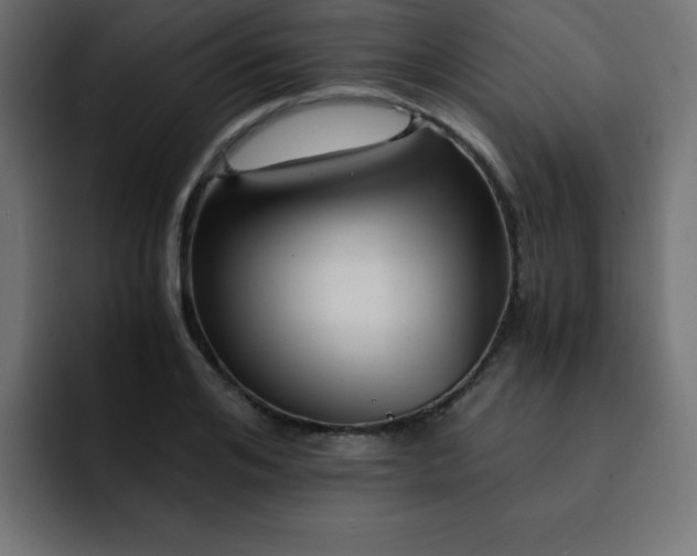 X0000093120984200710031331