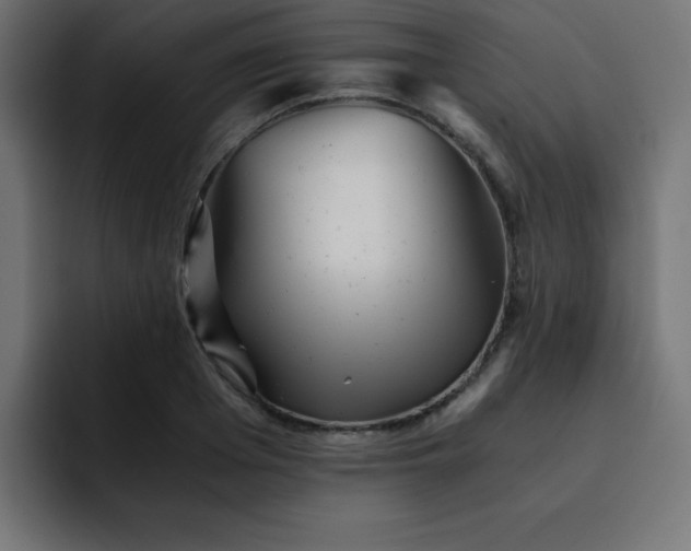 X0000093120985200710031331