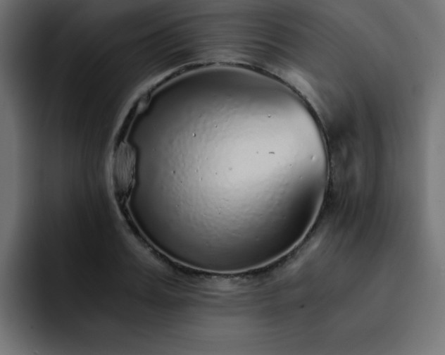 X0000093120987200710031331
