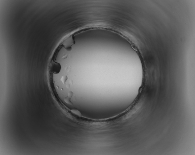 X0000093120989200710031331