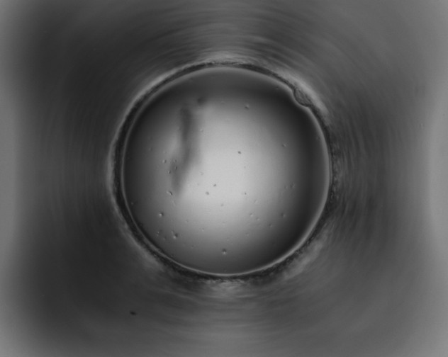 X0000093120991200710031331