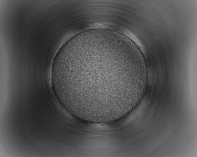 X0000093120994200710031331