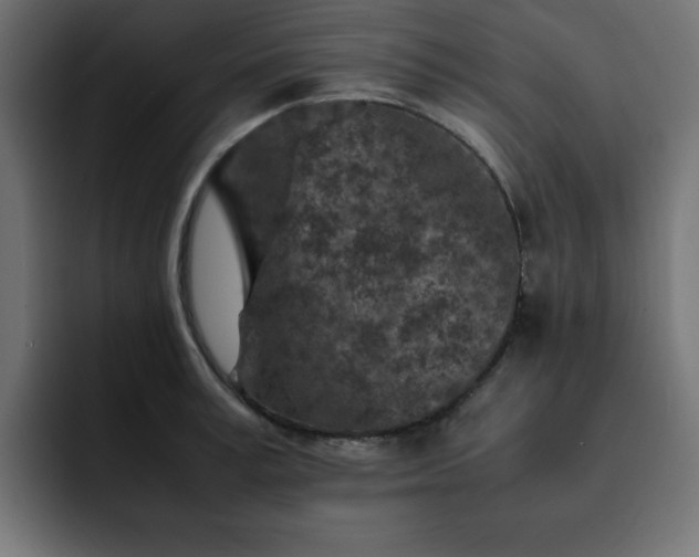 X0000093120995200710031331