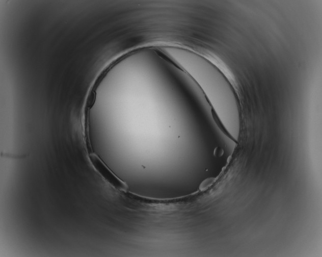 X0000093120996200710031331