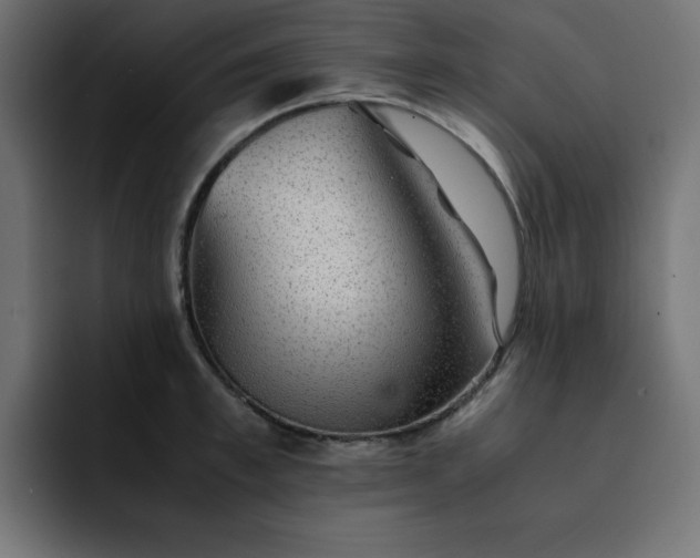 X0000093120997200710031331