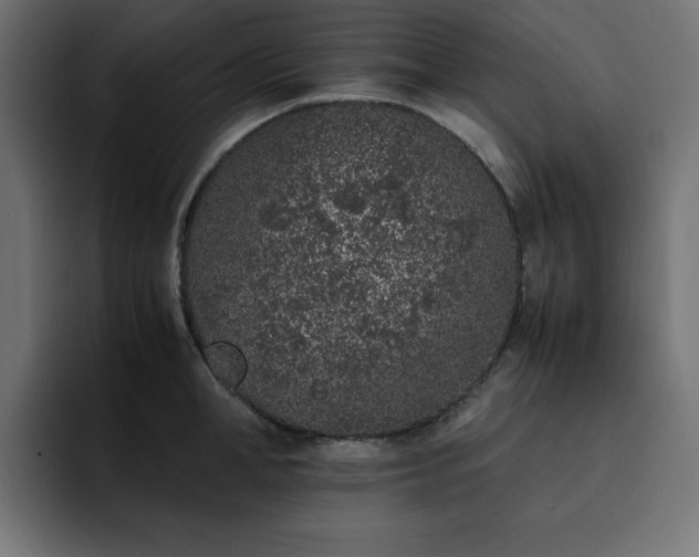 X0000093120998200710031330