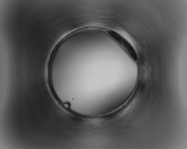 X0000093120999200710031330
