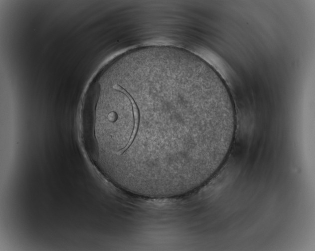 X0000093121000200710031330
