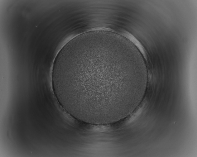 X0000093121002200710031330